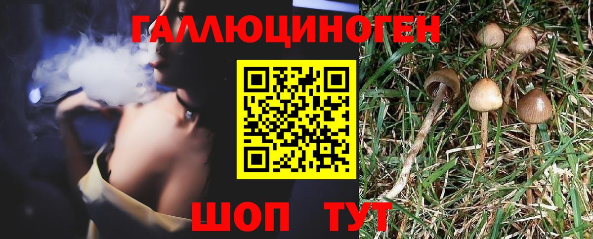 Старый Оскол  Галлюциногенные грибы Cubensis  Вход с VPN 